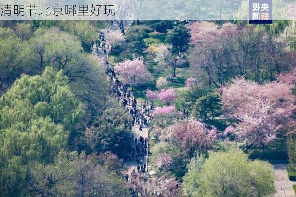 清明节北京哪里好玩