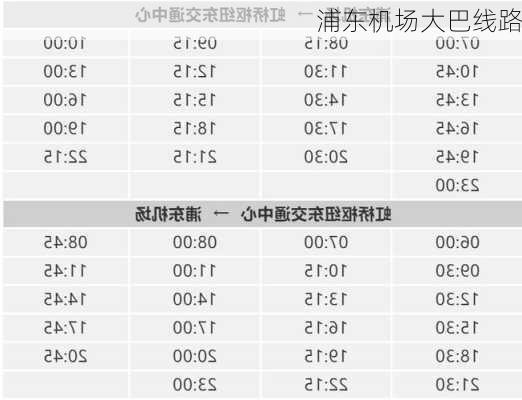 浦东机场大巴线路