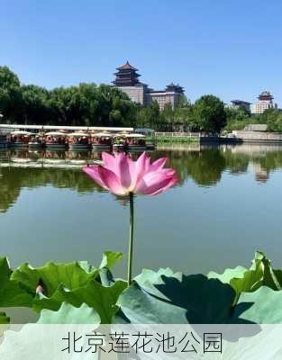 北京莲花池公园