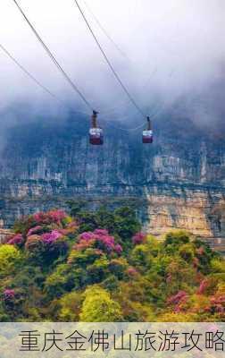 重庆金佛山旅游攻略