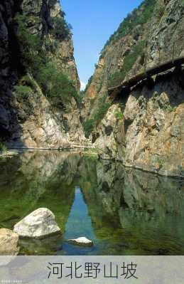 河北野山坡