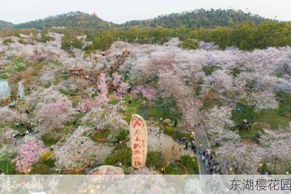 东湖樱花园