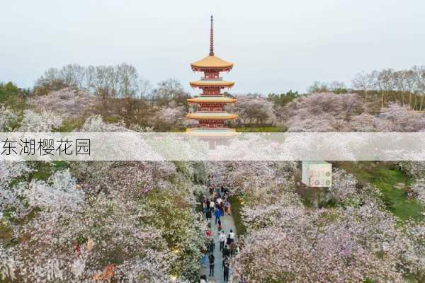 东湖樱花园