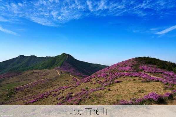 北京百花山