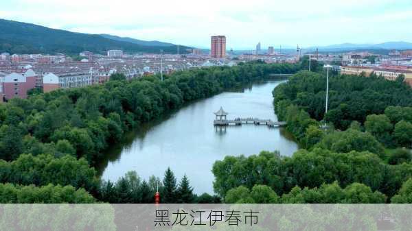 黑龙江伊春市