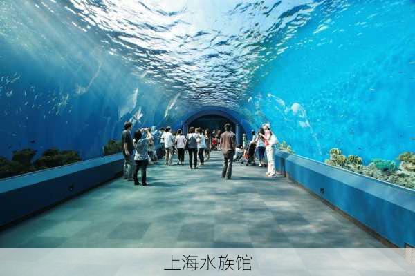 上海水族馆