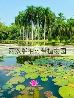 西双版纳热带植物园