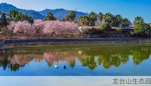 龙台山生态园