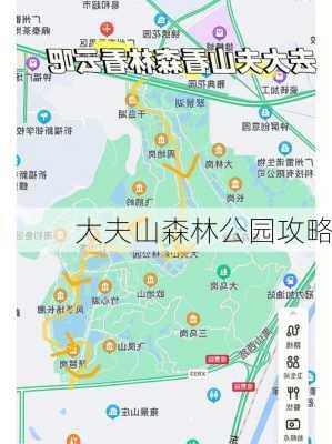 大夫山森林公园攻略