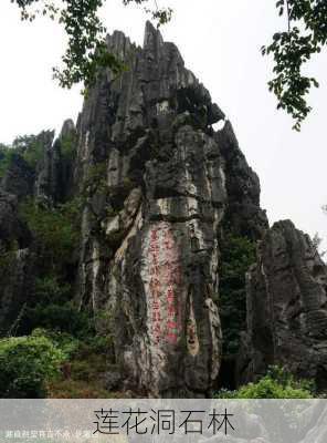 莲花洞石林