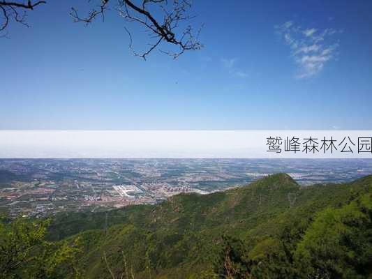 鹫峰森林公园