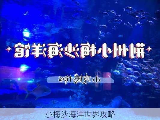 小梅沙海洋世界攻略