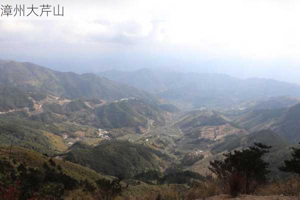 漳州大芹山