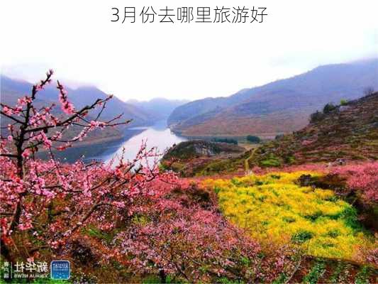 3月份去哪里旅游好