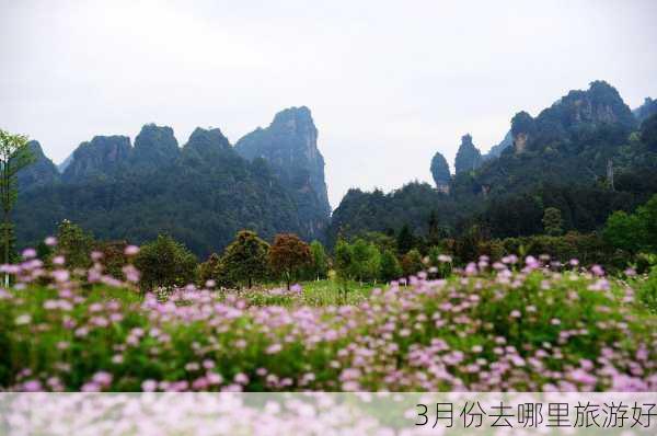 3月份去哪里旅游好