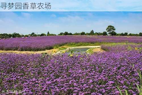 寻梦园香草农场