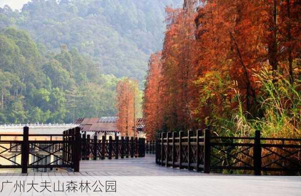 广州大夫山森林公园