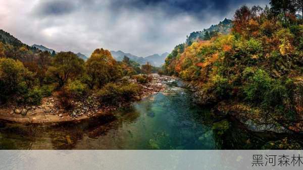 黑河森林