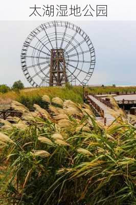 太湖湿地公园