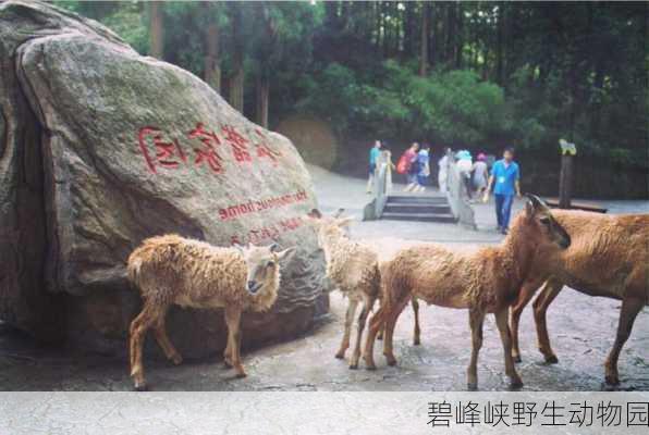 碧峰峡野生动物园