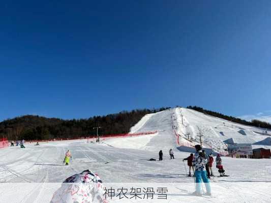 神农架滑雪