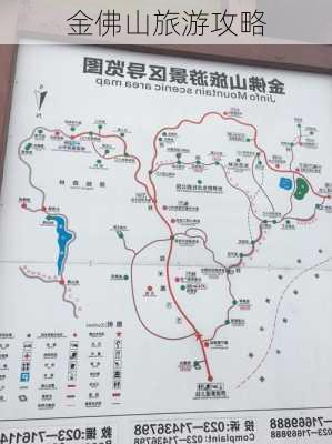 金佛山旅游攻略