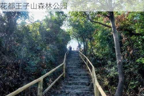 花都王子山森林公园