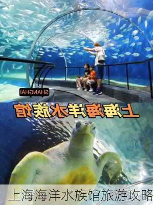 上海海洋水族馆旅游攻略