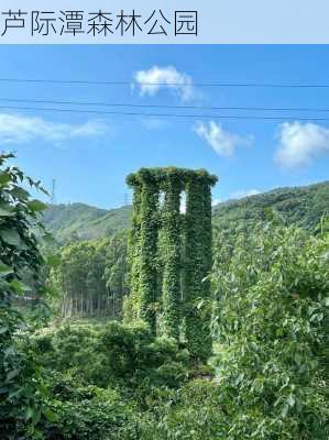 芦际潭森林公园