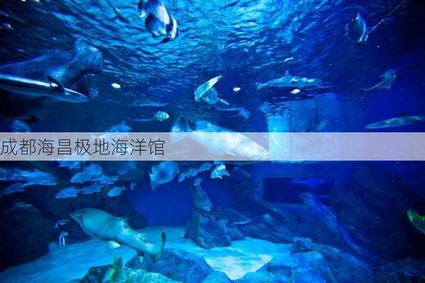 成都海昌极地海洋馆