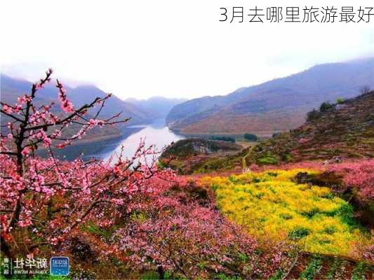 3月去哪里旅游最好