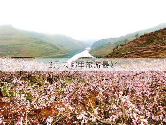 3月去哪里旅游最好