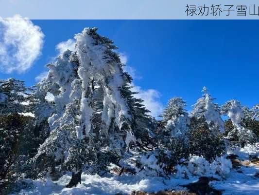 禄劝轿子雪山