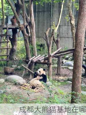 成都大熊猫基地在哪