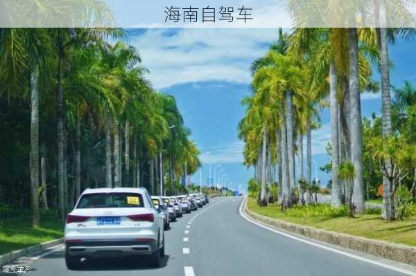 海南自驾车