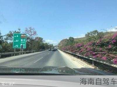 海南自驾车