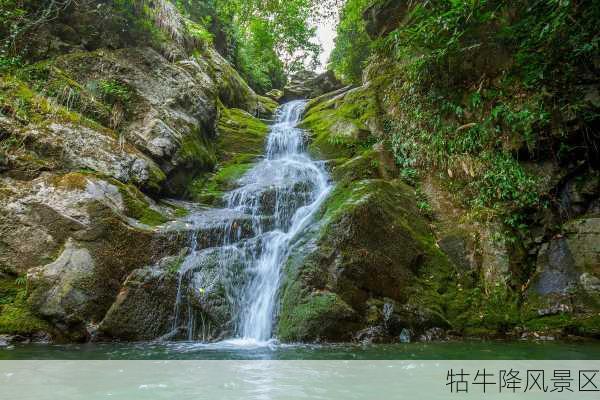 牯牛降风景区