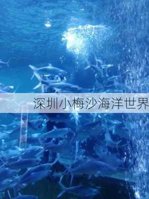 深圳小梅沙海洋世界