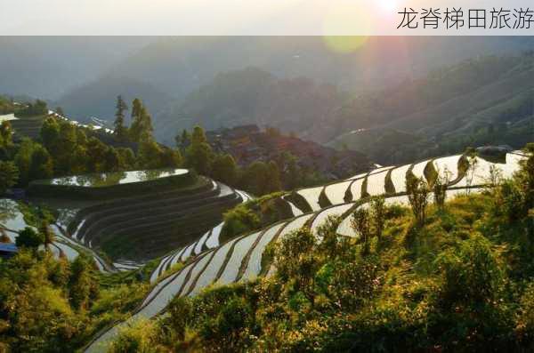 龙脊梯田旅游