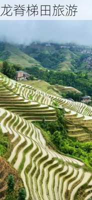 龙脊梯田旅游