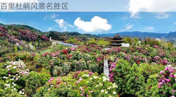 百里杜鹃风景名胜区