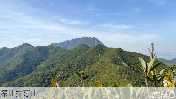 深圳排牙山