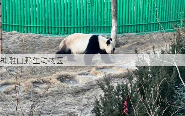 神雕山野生动物园