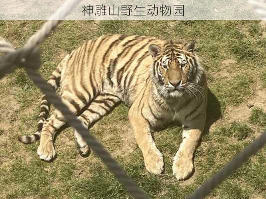 神雕山野生动物园