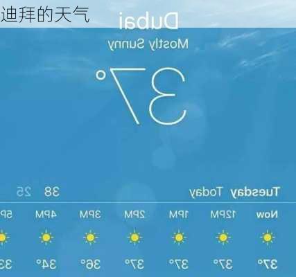 迪拜的天气