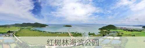 红树林海滨公园