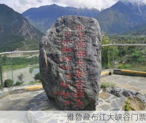 雅鲁藏布江大峡谷门票