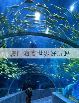 厦门海底世界好玩吗