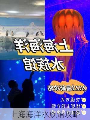 上海海洋水族馆攻略