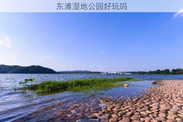 东滩湿地公园好玩吗